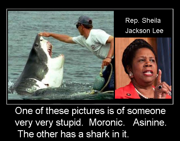 sheila-jackson-lee.jpg